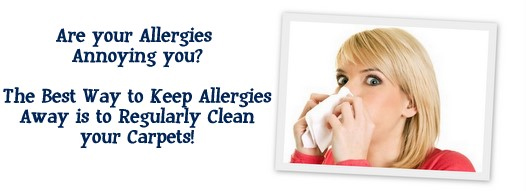 Carpet Cleaning San Jose