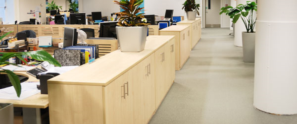 Commercial Carpet Cleaning San Jose