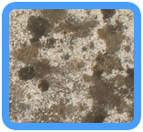 San Jose Water Damage Restoration